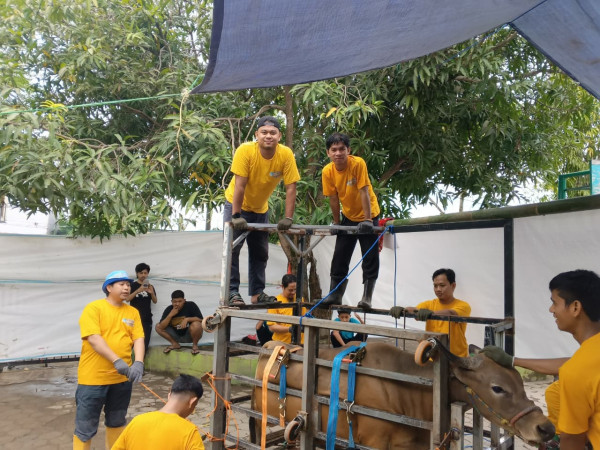 Kolaborasi Kader dan Masyarakat, WIZ Sinjai Sukseskan Qurban 1447 H di Enam Titik Pelaksanaan